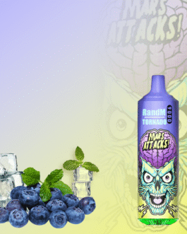 R AND M Tornado Blueberry Ice 9000