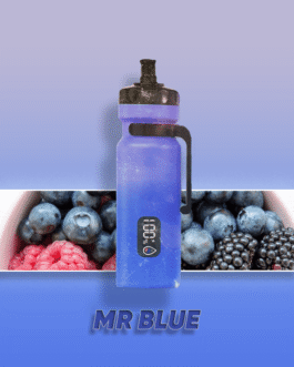 Enjoy Ultra 15000 Puffs Mr. Blue