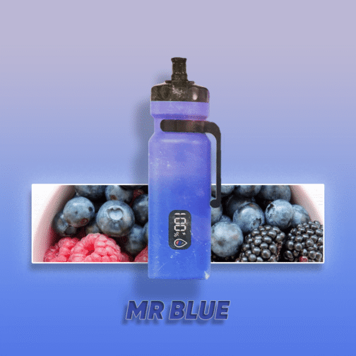 Enjoy Ultra 15000 Puffs Mr. Blue